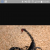 scorpion10