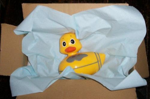 duck in box