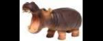HIPPOPOTAMUS!!