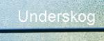 Underskog