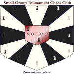 Small Group Tournament Chess Club