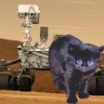 Cats on Mars!